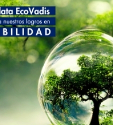 Montajes Delsaz alcanza la certificación de EcoVadis con la medalla de plata en sostenibilidad